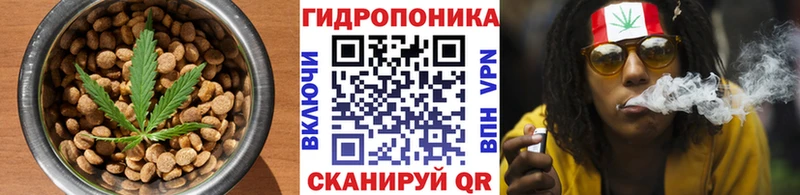 Купить где  Камышлов  Печенье с ТГК марихуана 
