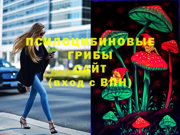 молекула духа Володарск