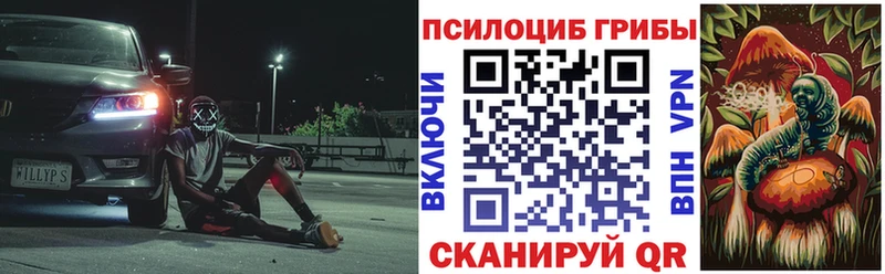 Купить где  Камышлов  Псилоцибиновые грибы мицелий 